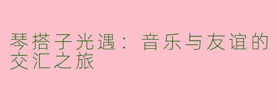 琴搭子光遇：音乐与友谊的交汇之旅