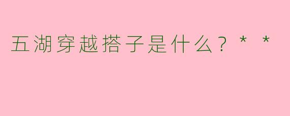 五湖穿越搭子是什么?**