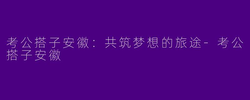 考公搭子安徽:共筑梦想的旅途