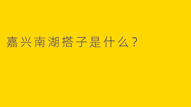 嘉兴南湖搭子是什么？  