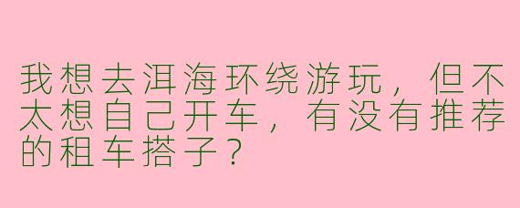 我想去洱海环绕游玩，但不太想自己开车，有没有推荐的租车搭子？