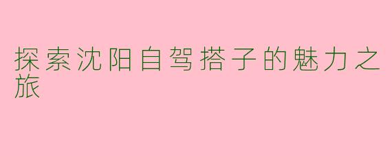 探索沈阳自驾搭子的魅力之旅