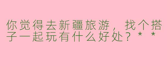 你觉得去新疆旅游，找个搭子一起玩有什么好处？**
