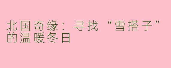 北国奇缘：寻找“雪搭子”的温暖冬日