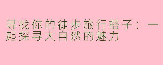 寻找你的徒步旅行搭子：一起探寻大自然的魅力