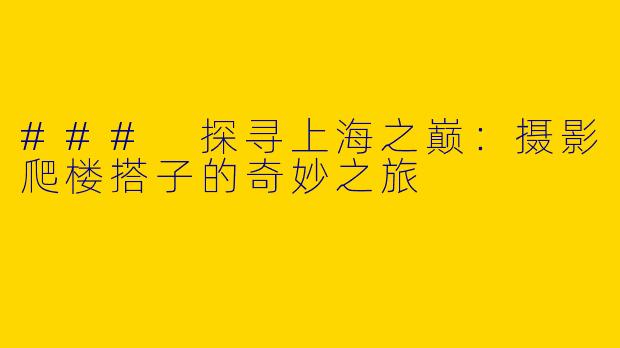 ### 探寻上海之巅：摄影爬楼搭子的奇妙之旅