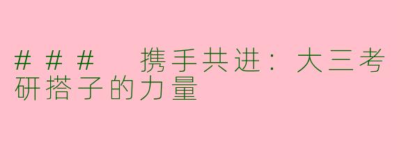 ### 携手共进：大三考研搭子的力量