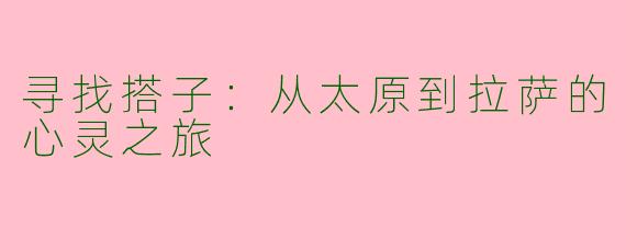 寻找搭子：从太原到拉萨的心灵之旅