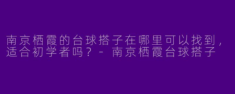 南京栖霞的台球搭子在哪里可以找到,适合初学者吗?