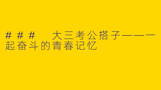### 大三考公搭子——一起奋斗的青春记忆