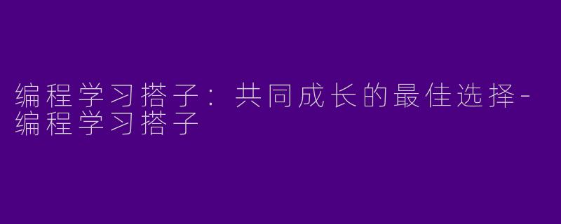 编程学习搭子：共同成长的最佳选择