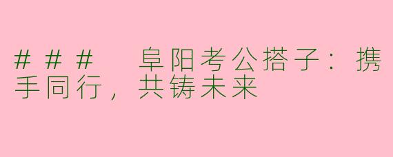### 阜阳考公搭子：携手同行，共铸未来