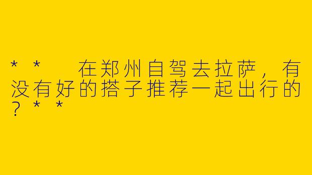 ** 在郑州自驾去拉萨，有没有好的搭子推荐一起出行的？**