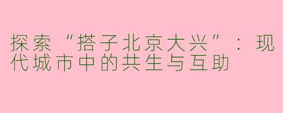 探索“搭子北京大兴”：现代城市中的共生与互助
