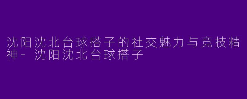 沈阳沈北台球搭子的社交魅力与竞技精神