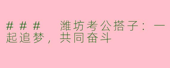 ### 潍坊考公搭子：一起追梦，共同奋斗