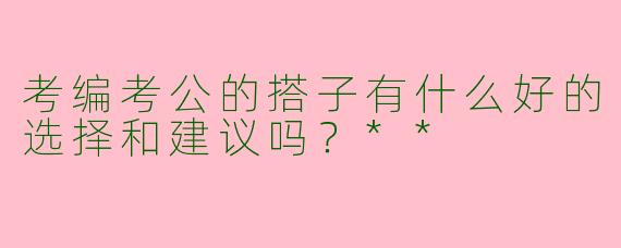 考编考公的搭子有什么好的选择和建议吗？**