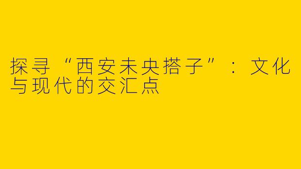 探寻“西安未央搭子”：文化与现代的交汇点