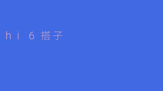hi6搭子