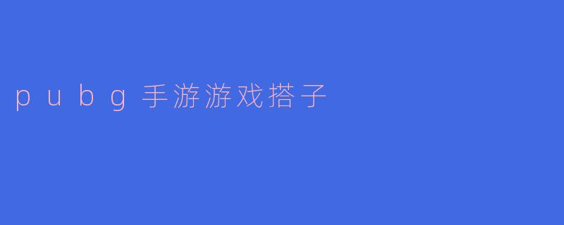 pubg手游游戏搭子
