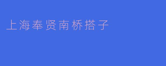 上海奉贤南桥搭子