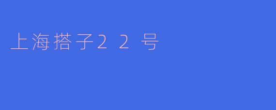 上海搭子22号