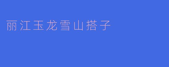 丽江玉龙雪山搭子