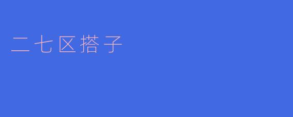 ### 探索二七区“搭子”的独特魅力