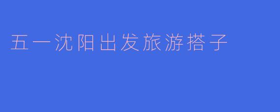 五一期间有没有沈阳出发的旅游搭子推荐?****