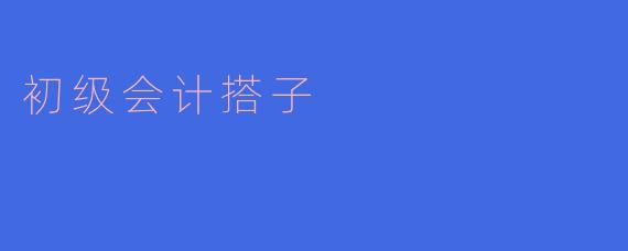 ### 初级会计搭子：职场新人的得力助手