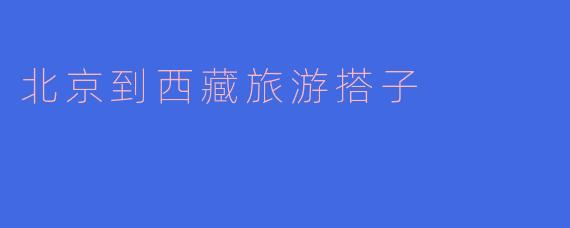 请问有没有合适的旅游搭子一起去西藏？  