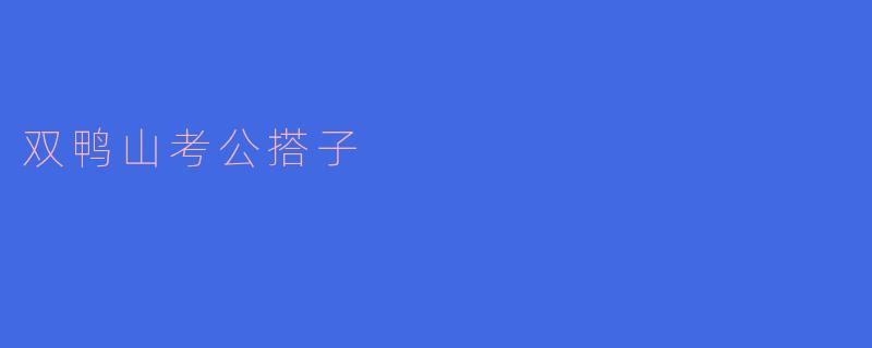 ### 双鸭山考公搭子:奋斗路上的同行者
