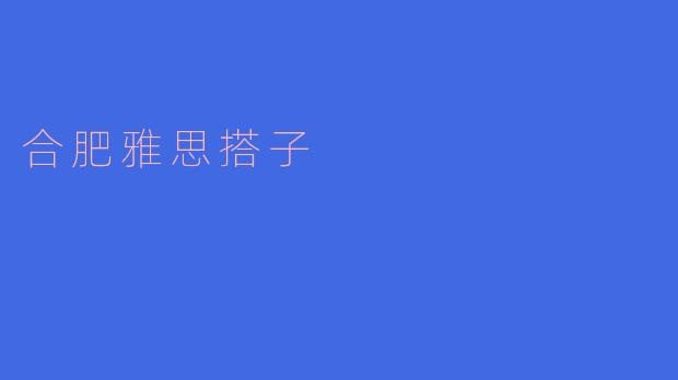 合肥雅思搭子有哪些推荐的学习方式？****