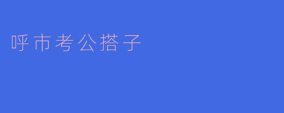 呼市考公搭子怎么找到合适的伙伴,一起备考更有效?
