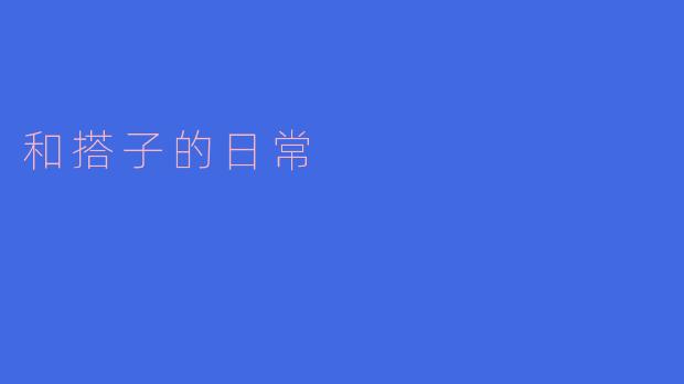 与搭子的日常:一起生活的小确幸