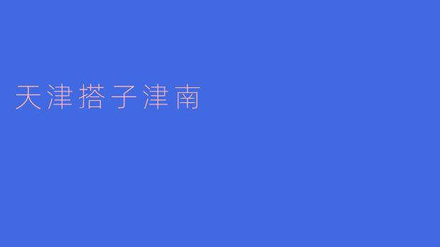 天津搭子津南