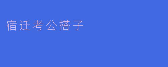 ### 宿迁考公搭子的乐趣与挑战