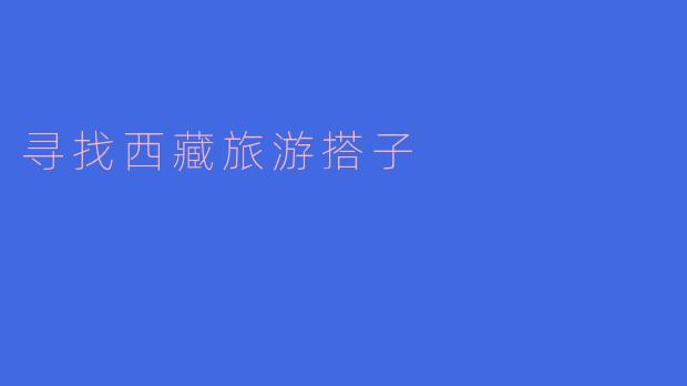 寻找西藏旅游搭子