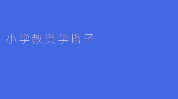 ### 小学教资学搭子：携手共进，提升教学水平