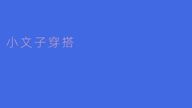 小文子的穿搭风格是什么样的？  