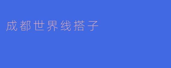 什么是“成都世界线搭子”?****
