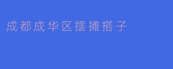 ### 成华区的摆摊新风潮：串联友情与创业的搭子文化