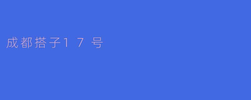 成都搭子17号