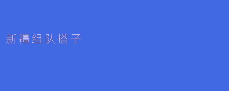 新疆组队搭子是什么，它有什么特别之处？