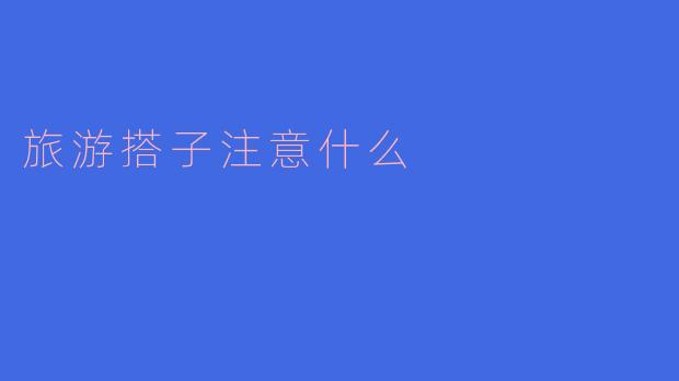### 旅游搭子注意事项