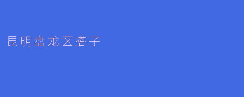 昆明盘龙区的“搭子”是什么？