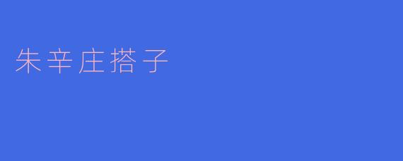 朱辛庄搭子