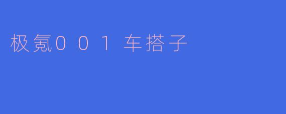 极氪001车搭子