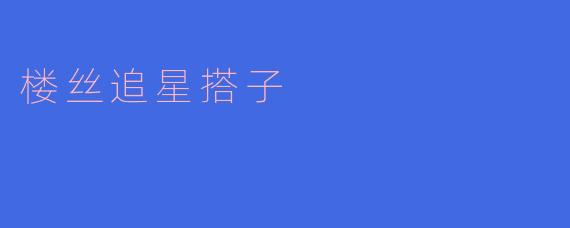 楼丝追星搭子通常会怎样安排追星活动?****