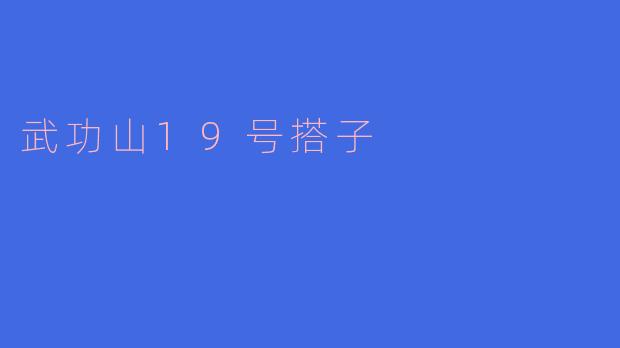 ### 探寻“武功山19号搭子”的神秘魅力